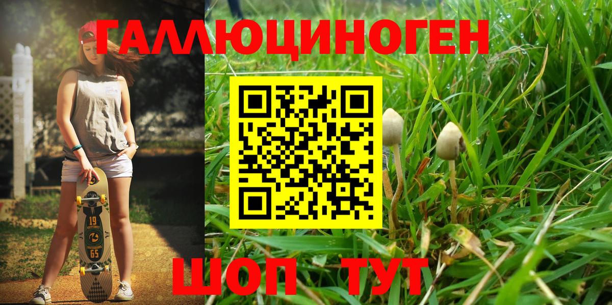 Псилоцибиновые грибы Cubensis Жуковский